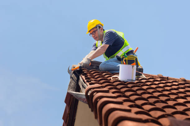 Best Gutter Replacement  in Waverly, TN